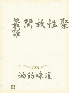 最开放性聚会小说