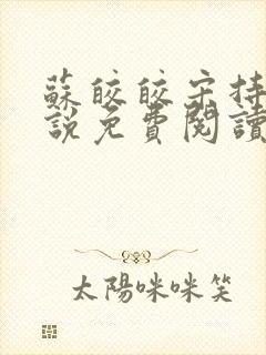 苏皎皎宋持的小说免费阅读