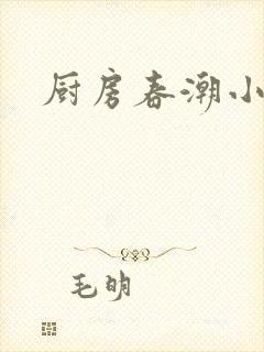 厨房春潮小说封面