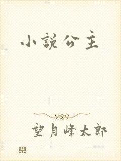 小说公主封面