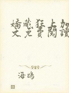 娇藏狂上加狂全文免费阅读笔趣阁