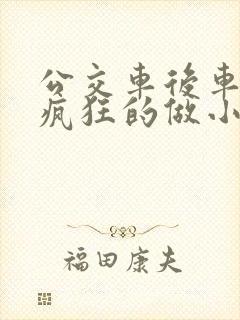 公交车后车座的疯狂的做小