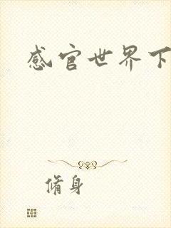 感官世界下载