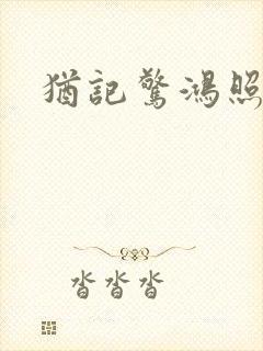 犹记惊鸿照影封面