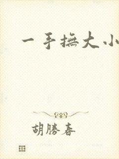 一手抚大小说封面