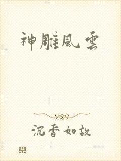神雕风云
