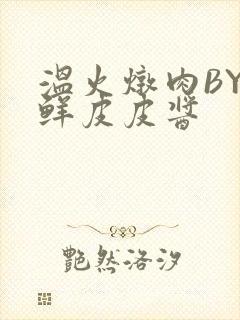 温火炖肉BY海鲜皮皮酱