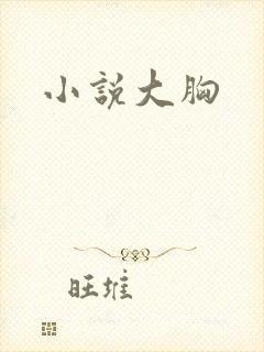 小说大胸