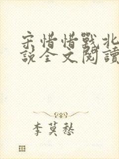 宋惜惜战北望小说全文阅读