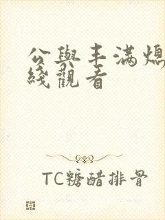 公与丰满熄4在线观看封面