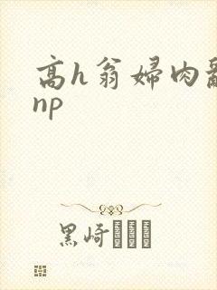 高h翁妇肉乱文np封面