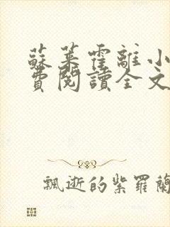 苏莱霍离小说免费阅读全文封面