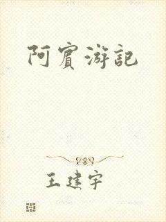 阿宾游记