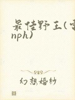 最佳野王(电竞nph)