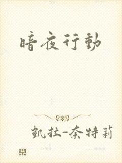 暗夜行动