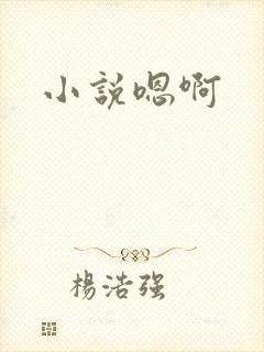 小说嗯啊