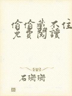 偷偷藏不住小说免费阅读