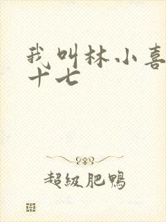 我叫林小喜今年十七