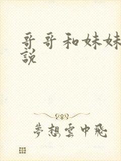 哥哥和妹妹的小说