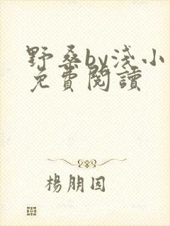 野桑by浅小说免费阅读