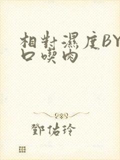 相对湿度BY大口吃肉