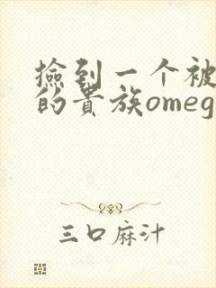 捡到一个被抹布的贵族omega