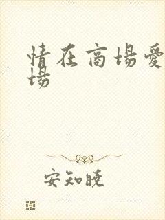 情在商场爱在官场