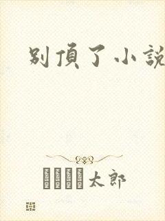 别顶了小说封面