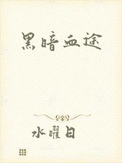 黑暗血途封面