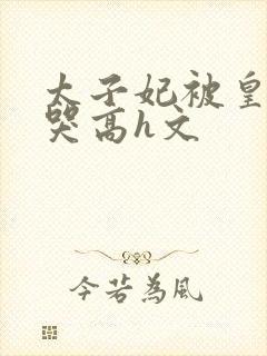 太子妃被皇上c哭高h文