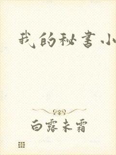 我的秘书小姐