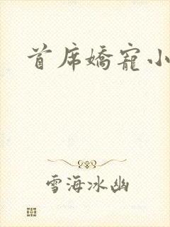 首席娇宠小情人封面