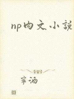np肉文小说