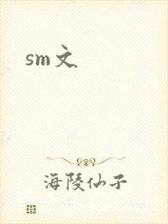 sm文封面