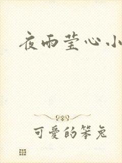 夜雨莹心小说