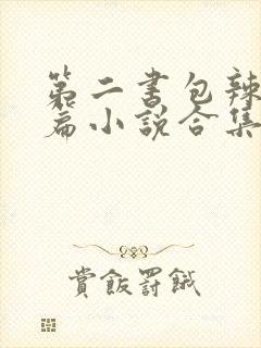 第二书包辣网短篇小说合集