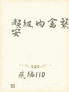 超级肉禽系统保安