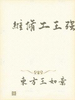 维修工王强张婷