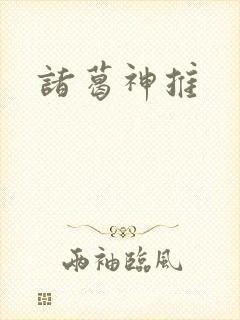 诸葛神推封面