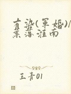 有染(军婚)/叶落淮南