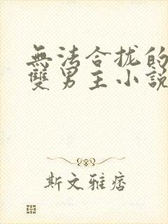 无法合拢的总裁双男主小说