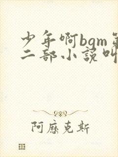 少年啊bgm第二部小说叫什么