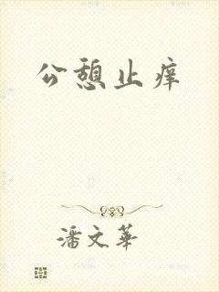 公憩止痒封面