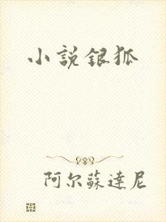 小说银狐