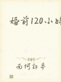 婚前120小时封面