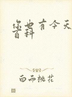 你也有今天百度百科