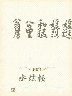 翁公和媛媛在厨房里猛烈进出