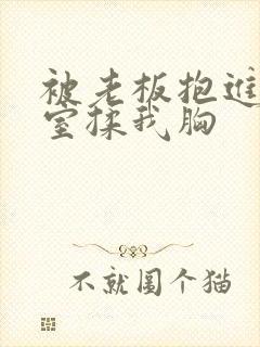 被老板抱进办公室揉我胸