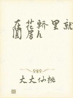 在花轿里就开始圆房h