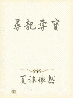 寻龙夺宝